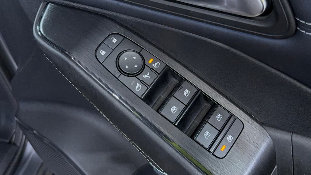 Drivers Side Door Panel Controls