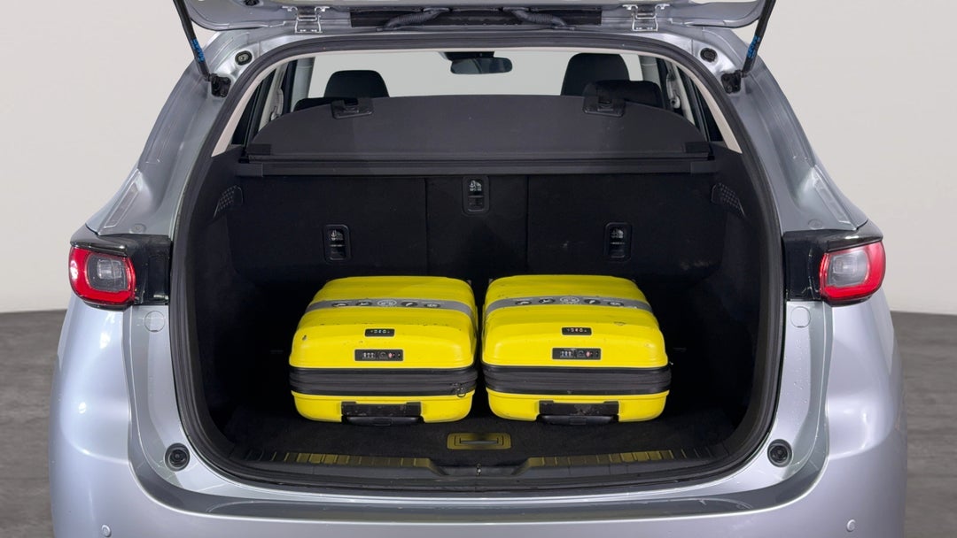 Boot Inside View with Luggage