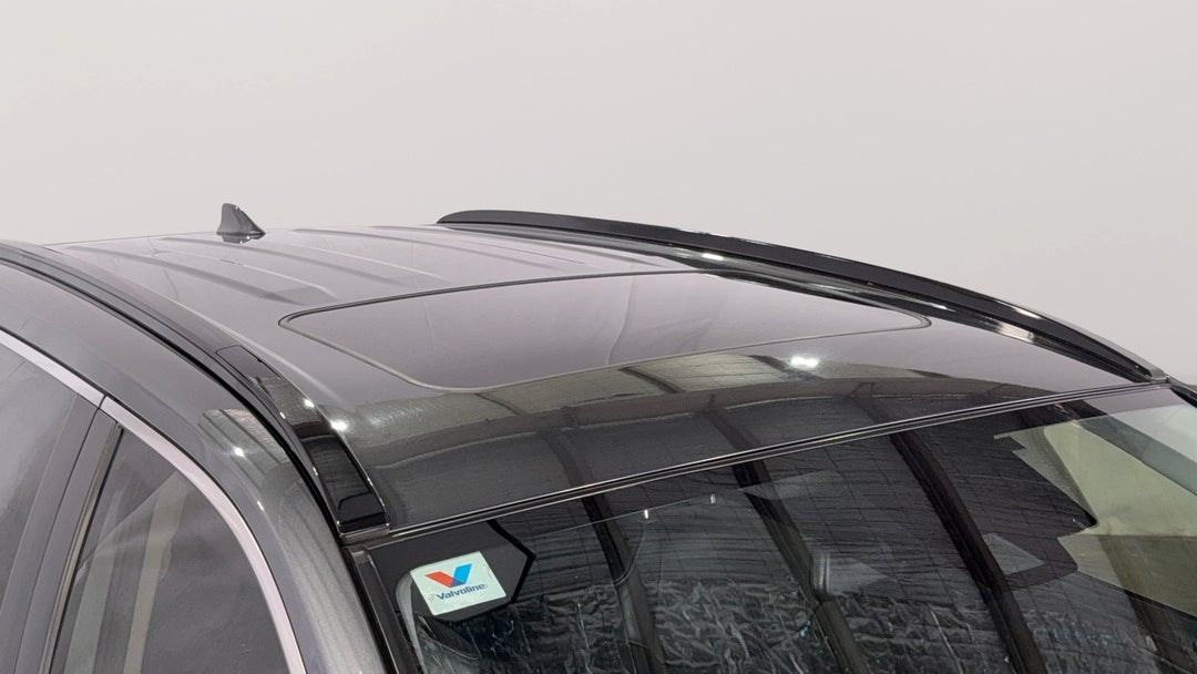 Roof/Sunroof View