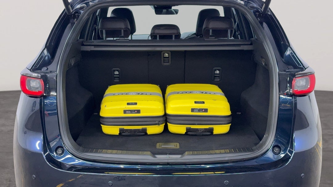 Boot Inside View with Luggage