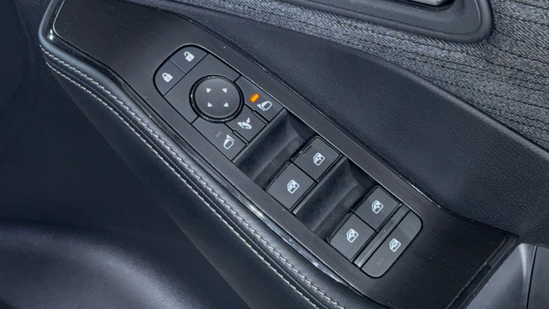 Drivers Side Door Panel Controls