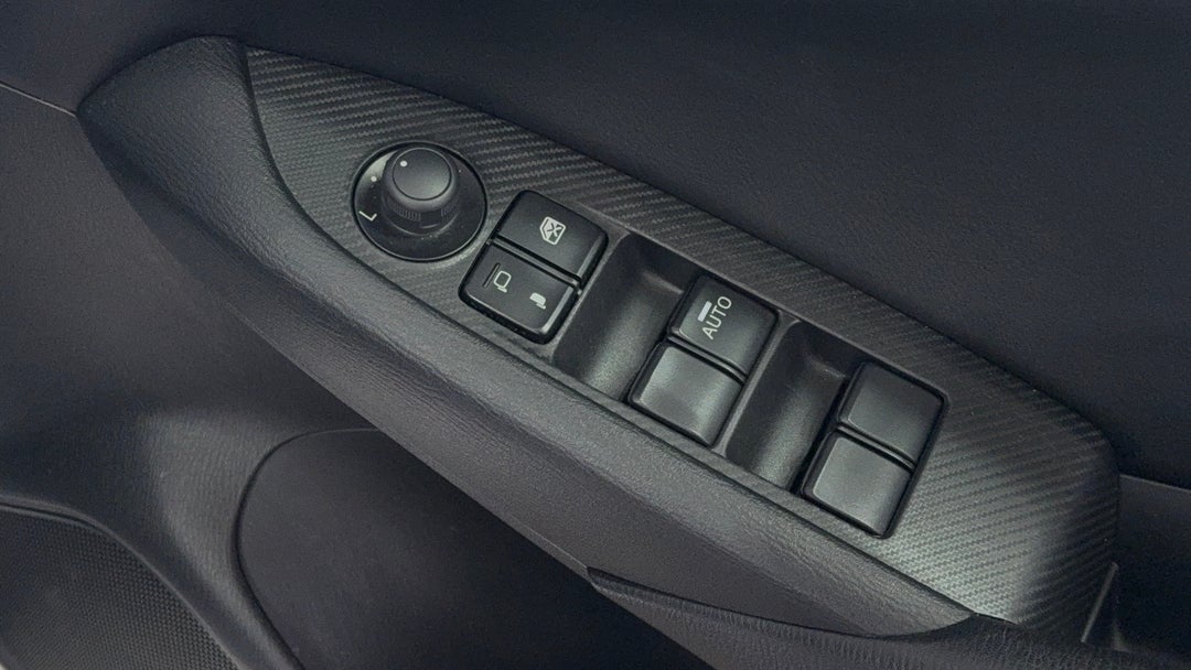 Drivers Side Door Panel Controls