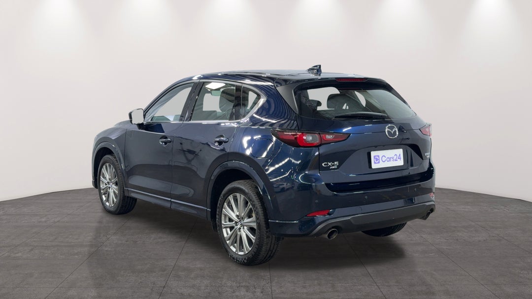 Left Back Diagonal (45- Degree) View