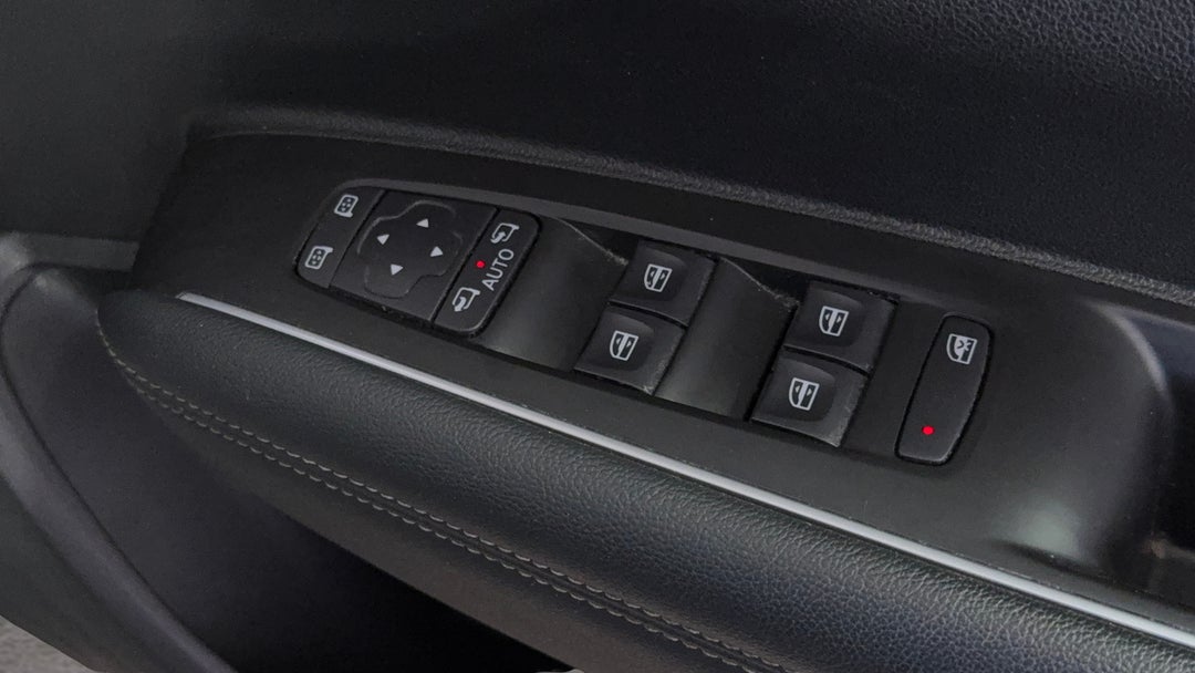 Drivers Side Door Panel Controls