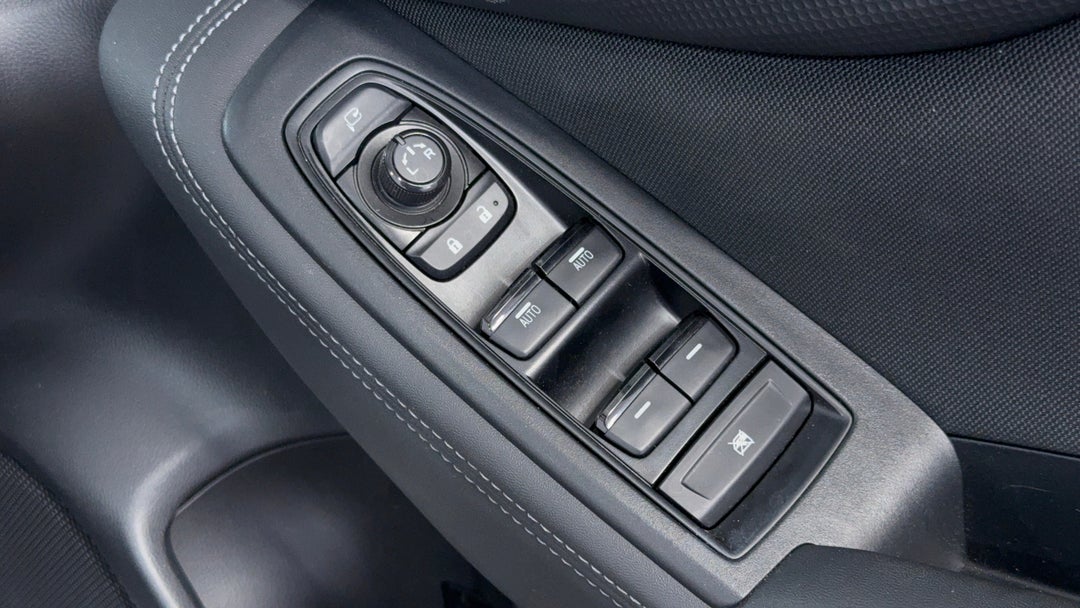Drivers Side Door Panel Controls