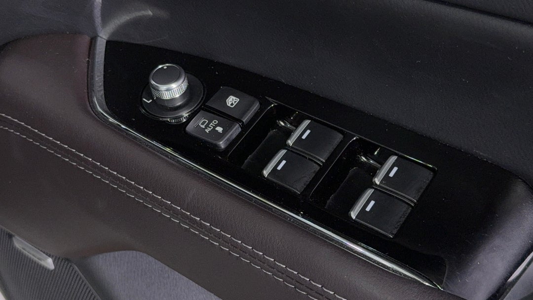 Drivers Side Door Panel Controls