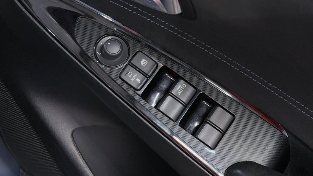 Drivers Side Door Panel Controls