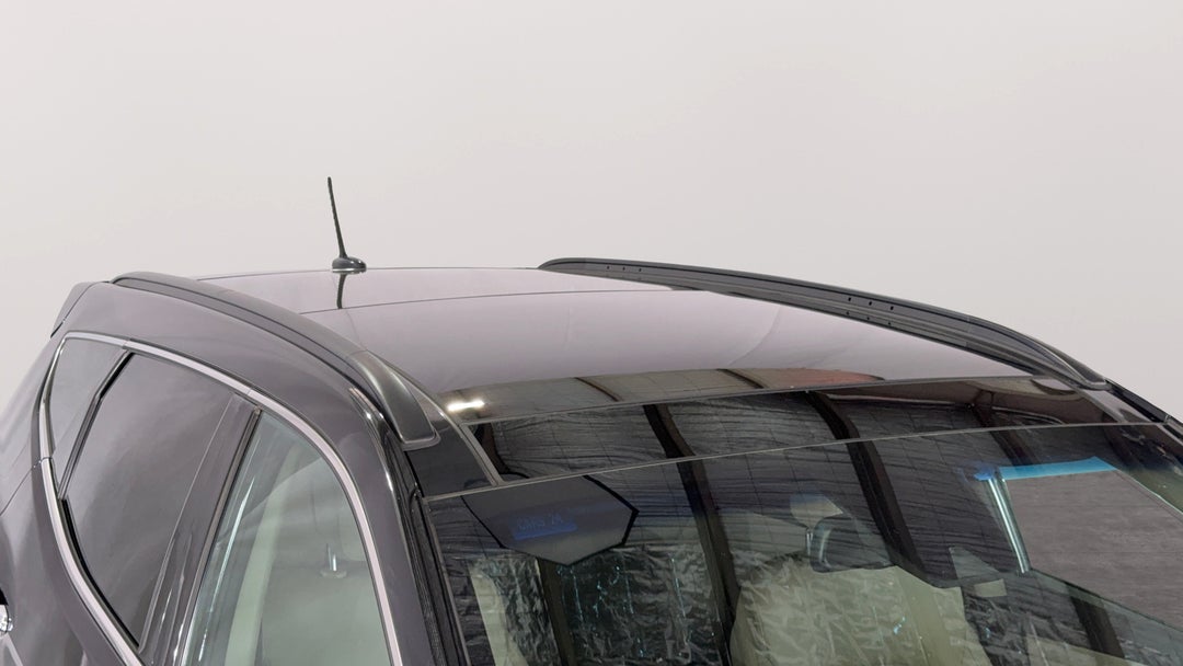 Roof/Sunroof View
