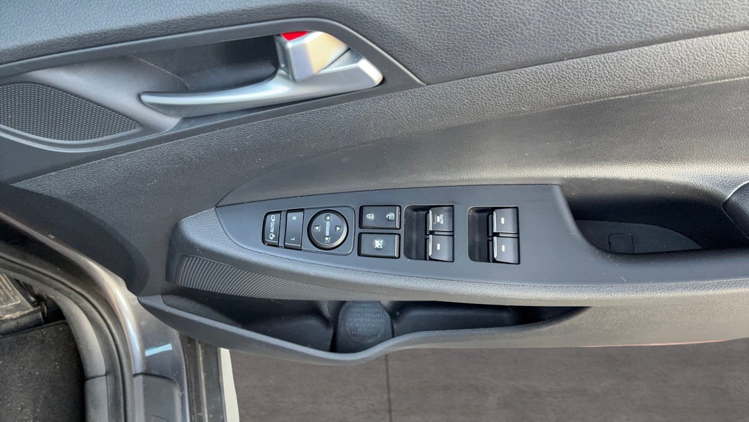 Drivers Side Door Panel Controls