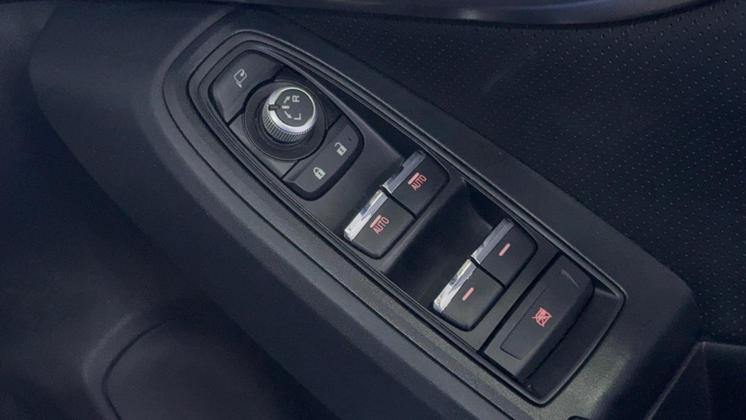 Drivers Side Door Panel Controls