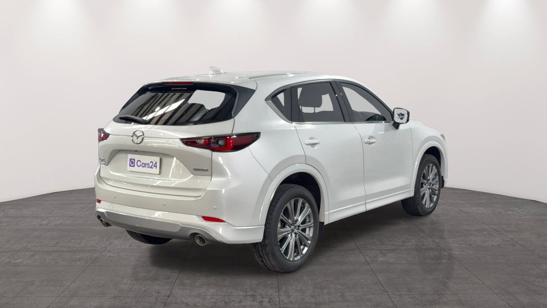 Right Back Diagonal (45- Degree) View