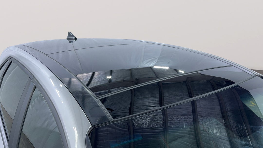 Roof/Sunroof View