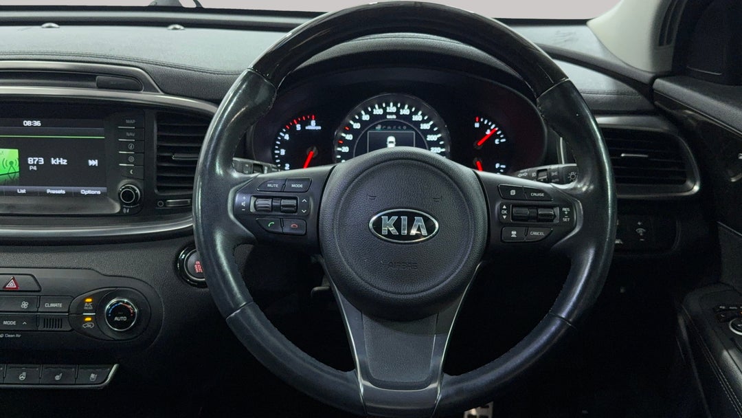 Steering Wheel Close-up
