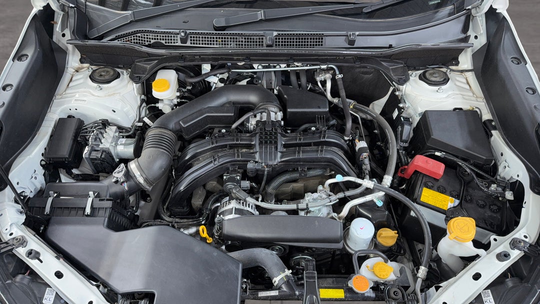 Open Bonnet (Engine)
