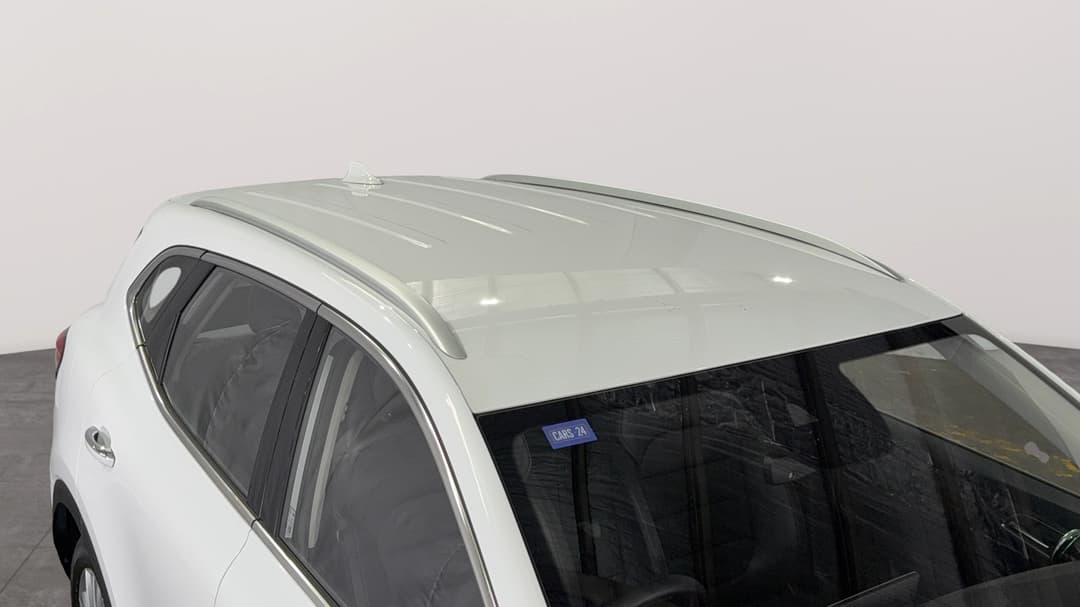 Roof/Sunroof View
