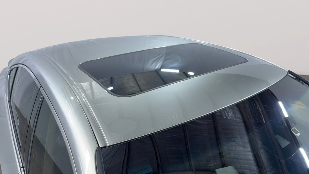 Roof/Sunroof View