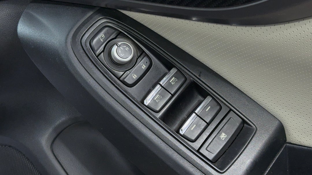 Drivers Side Door Panel Controls