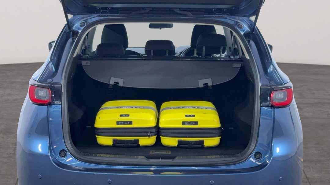 Boot Inside View with Luggage
