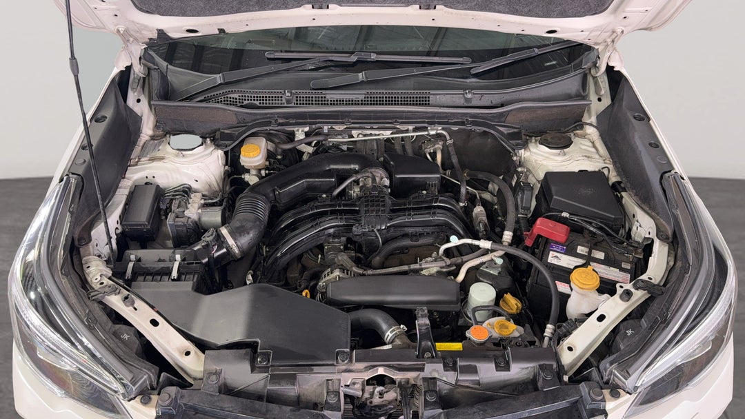 Open Bonnet (Engine)