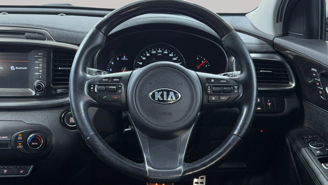 Steering Wheel Close-up