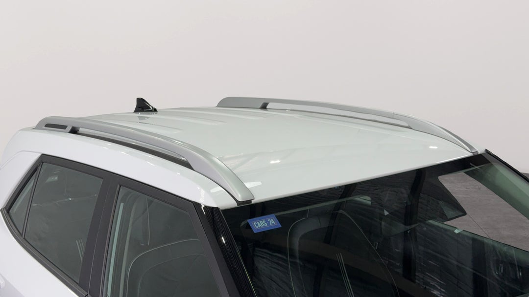 Roof/Sunroof View