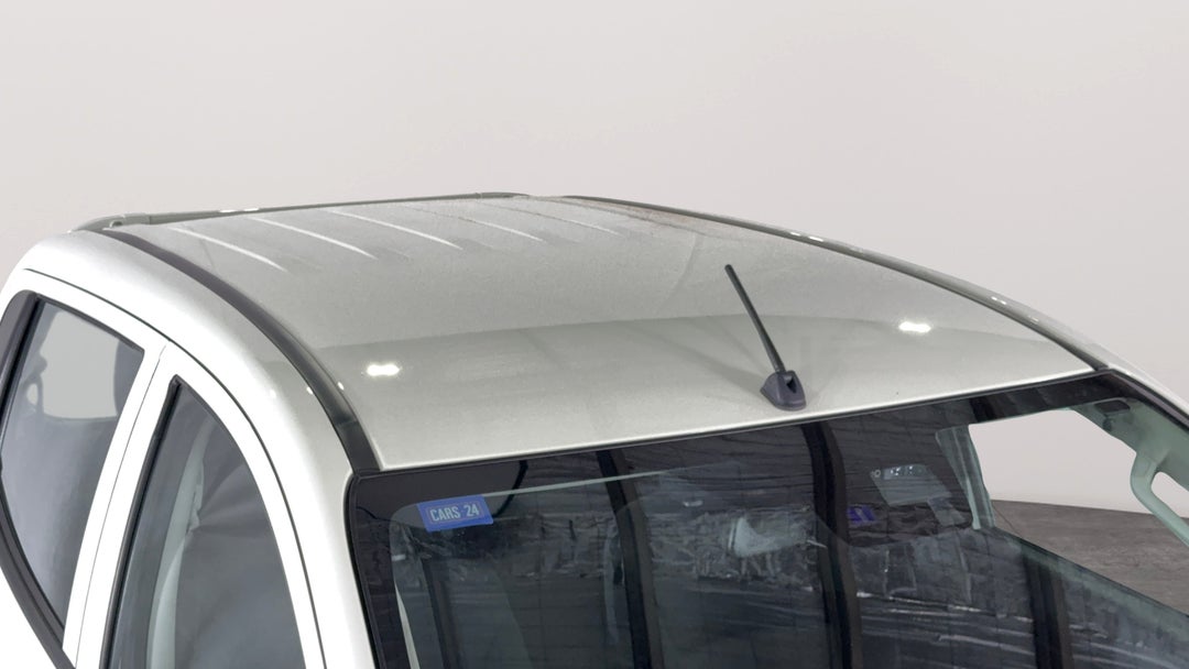 Roof/Sunroof View