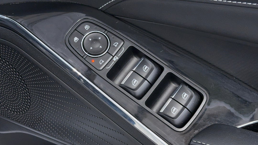 Drivers Side Door Panel Controls