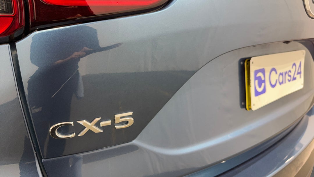 Badge (Boot Left Side)