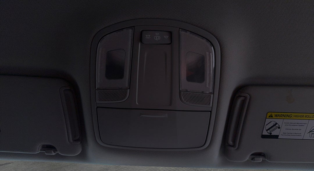 On-Roof Controls/Sunglass holder