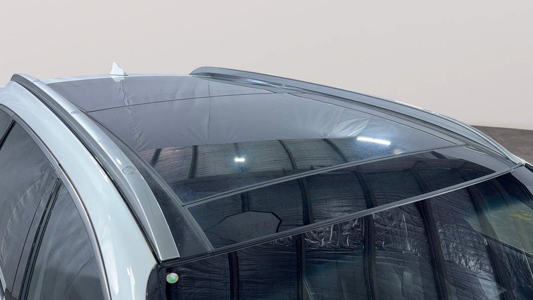 Roof/Sunroof View