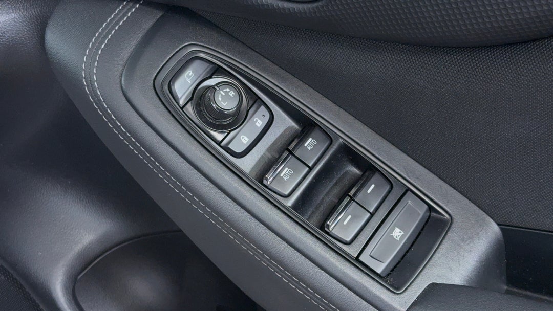 Drivers Side Door Panel Controls