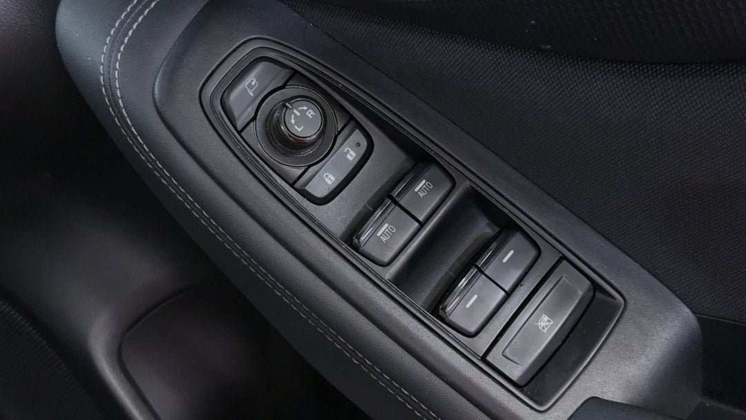 Drivers Side Door Panel Controls
