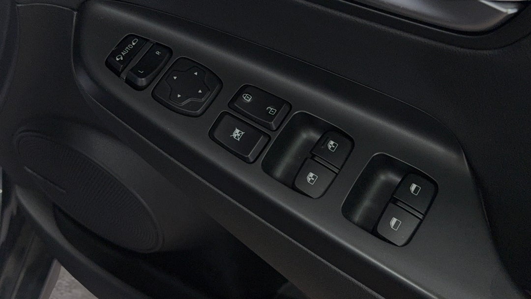 Drivers Side Door Panel Controls