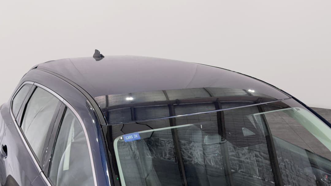 Roof/Sunroof View