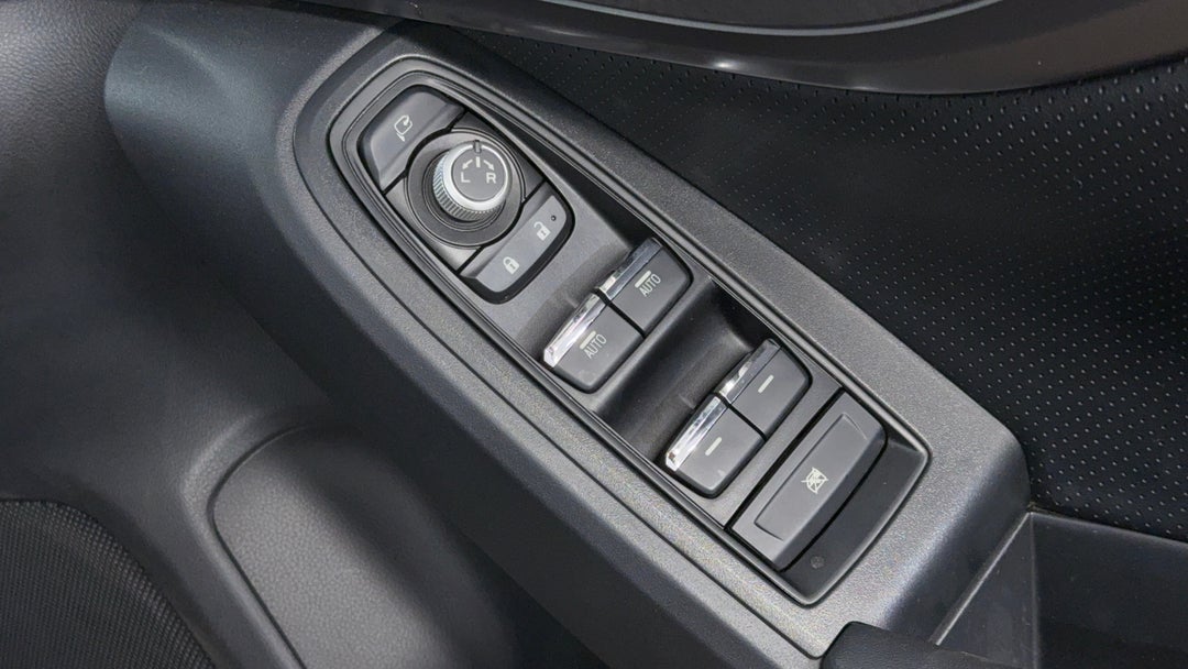 Drivers Side Door Panel Controls