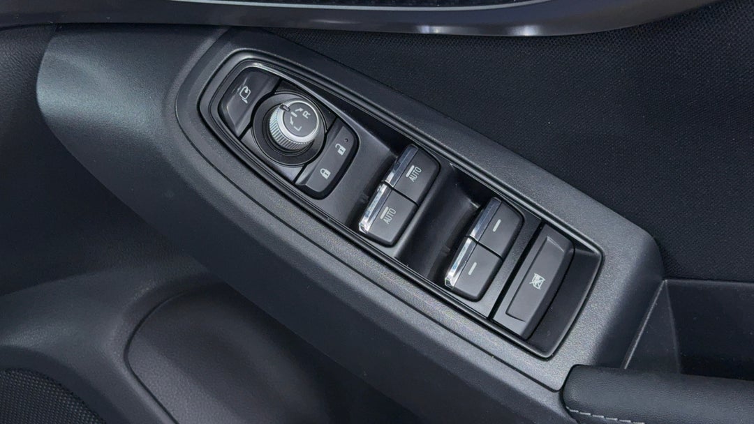 Drivers Side Door Panel Controls
