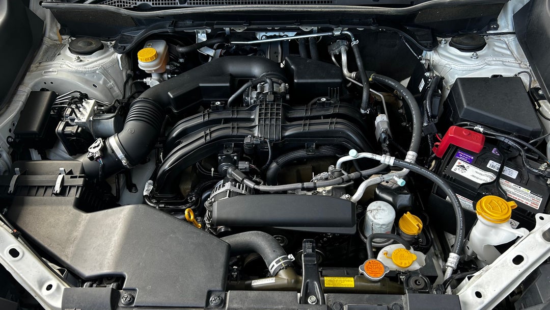 Open Bonnet (Engine)