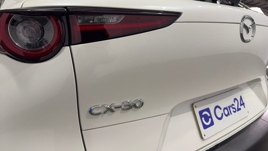 Badge (Boot Left Side)