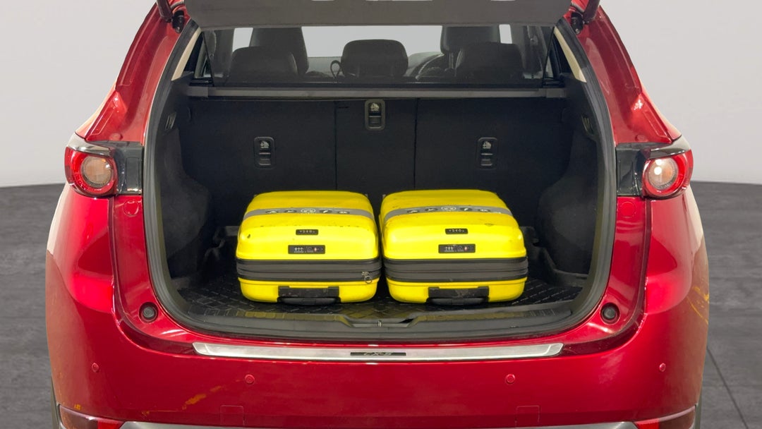 Boot Inside View with Luggage