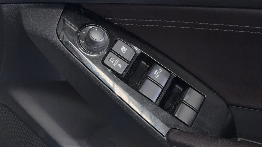 Drivers Side Door Panel Controls