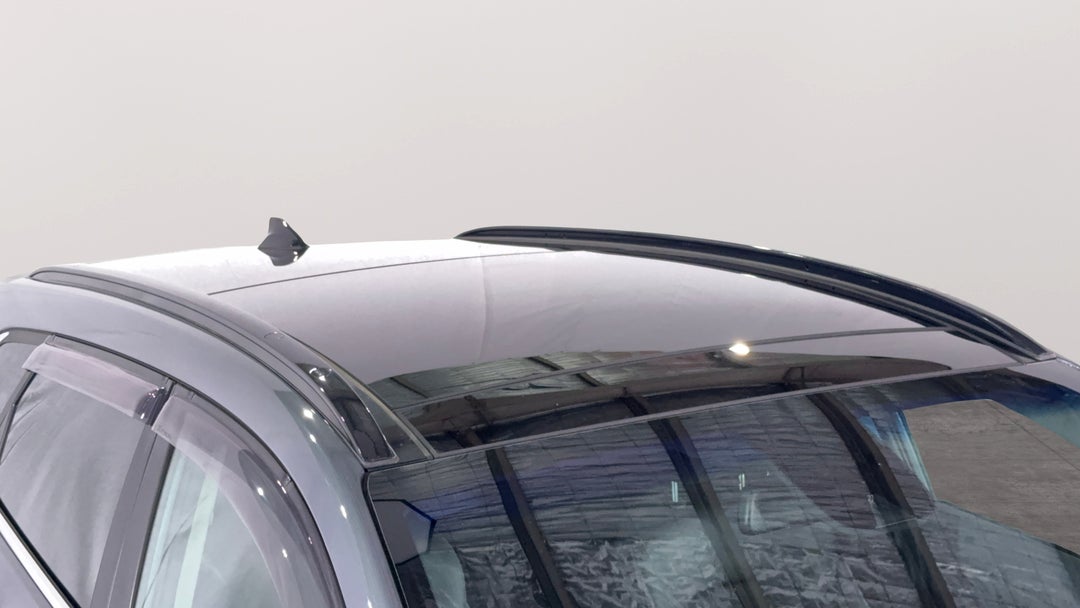 Roof/Sunroof View