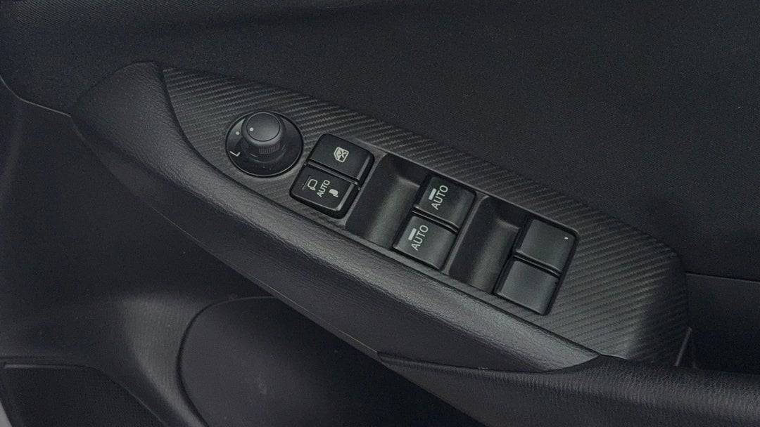 Drivers Side Door Panel Controls