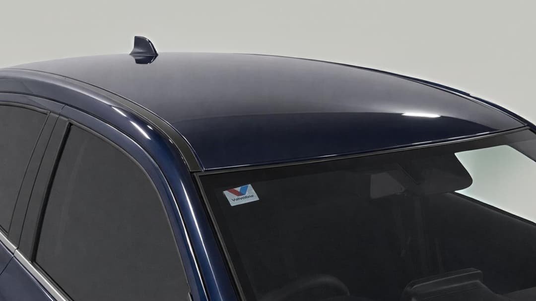 Roof/Sunroof View