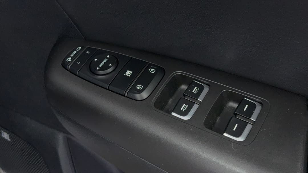 Drivers Side Door Panel Controls