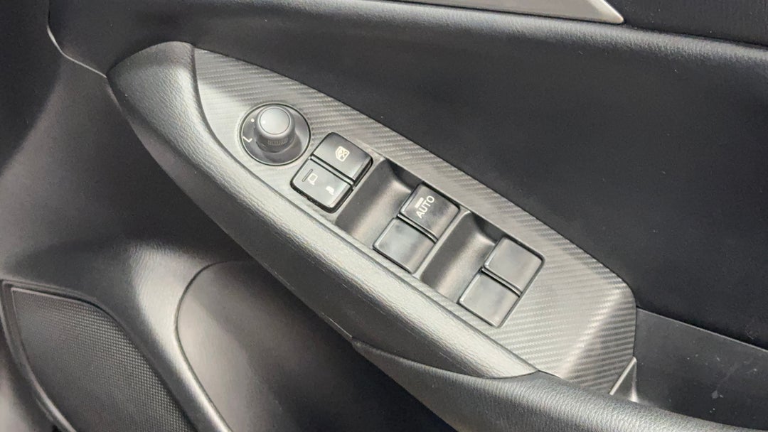 Drivers Side Door Panel Controls