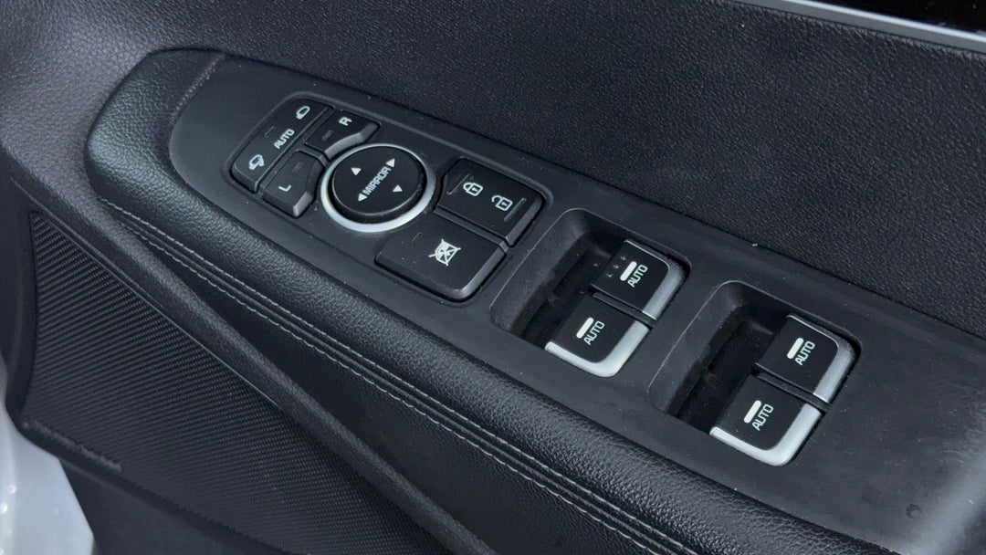 Drivers Side Door Panel Controls
