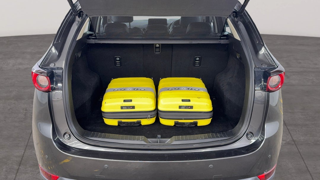 Boot Inside View with Luggage