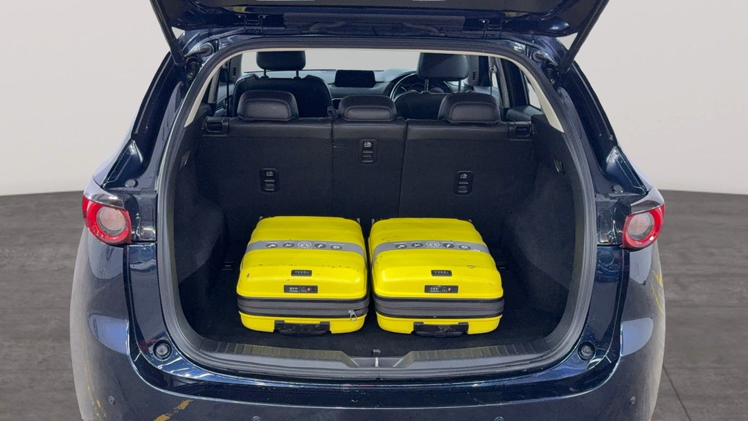 Boot Inside View with Luggage