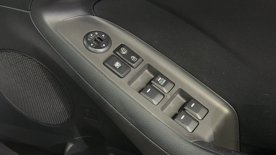 Drivers Side Door Panel Controls