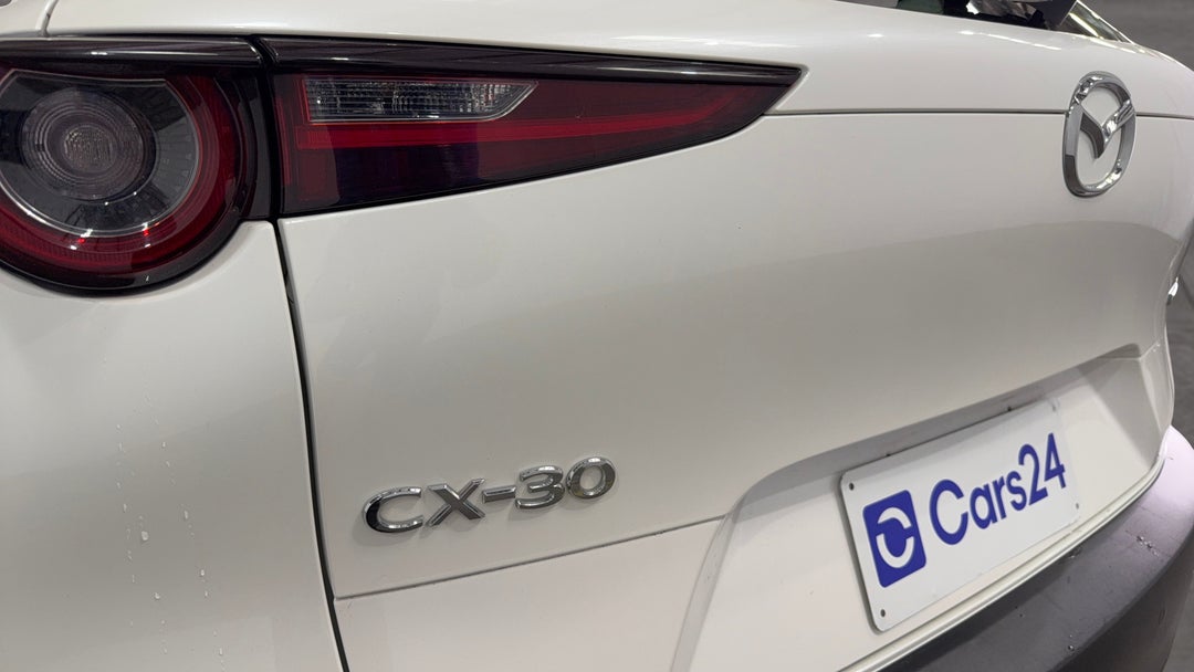 Badge (Boot Left Side)